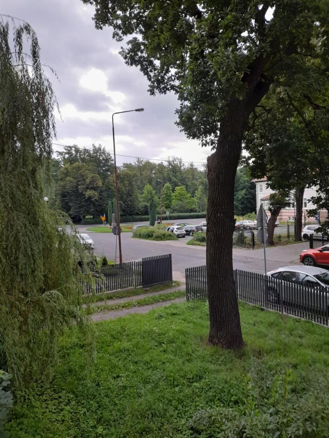 Appartamento Mieszkanie Z Widokiem Na Park -Cieplice Slaskie Zdroj Jelenia Góra Esterno foto